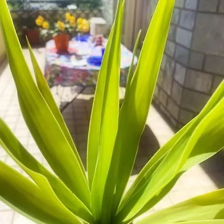 Tittihome * Σαν Ρέμο