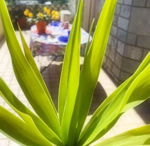 Tittihome * San Remo